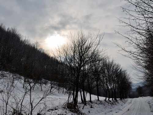 Foto Dupa-amiaza in Durusa (c) Lucian Petru Goja
